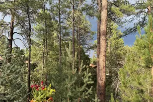 1928 Timber Point W, Prescott, AZ 86303 - Photo 43