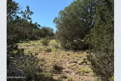 57650 Hora Lane, Seligman, AZ 86337 - Photo 5