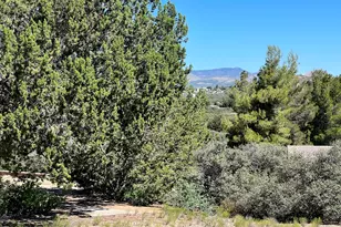 11360 S Primrose Ln, Mayer, AZ 86333 - Photo 51