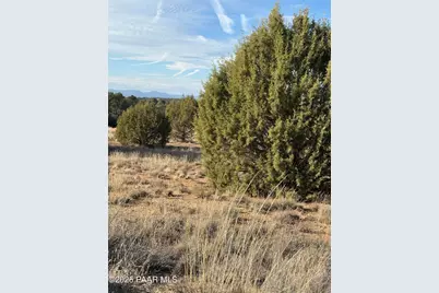 000 W Young Road, Prescott, AZ 86305 - Photo 3