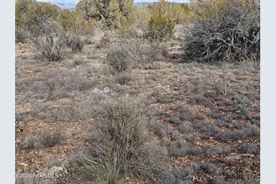 56056 N Bridge Canyon Parkway, Seligman, AZ 86337 - Photo 11