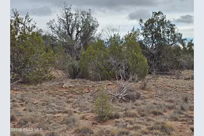 55644 N Potrero Parkway, Seligman, AZ 86337 - Photo 17