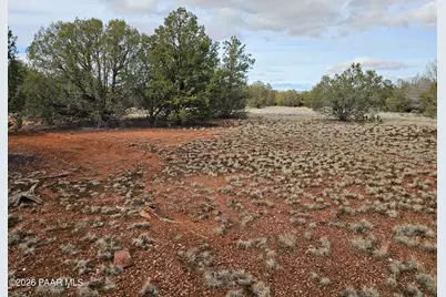 55644 N Potrero Parkway, Seligman, AZ 86337 - Photo 11