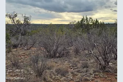 32667 W Conejo Road, Seligman, AZ 86337 - Photo 3