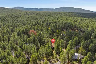 1505 E Friendly Pines Rd, Prescott, AZ 86303 - Photo 59