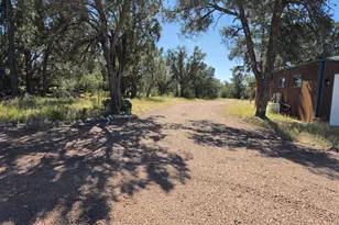 33425 W Cowboy Clint Way, Seligman, AZ 86337 - Photo 43