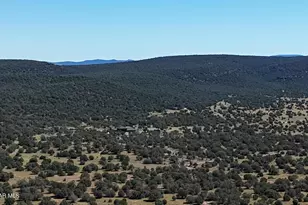 33425 W Cowboy Clint Way, Seligman, AZ 86337 - Photo 125