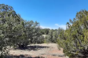 31395 W Bootis Circle, Seligman, AZ 86337 - Photo 1