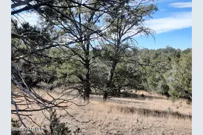 31790 W La Gatito Lane, Seligman, AZ 86337 - Photo 1