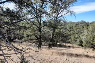 31790 W La Gatito Ln, Seligman, AZ 86337 - Photo 1