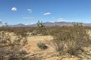 Tbe E Red Barrel Dr, Yucca, AZ 86438 - Photo 1