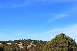 37621 Greenhorn, Seligman, AZ 86337 - Photo 1