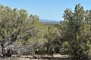 972 Westwood Ranch, Williams, AZ 86046 - Photo 1