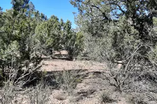 Lot 3408 W Dulce Ln, Seligman, AZ 86337 - Photo 1