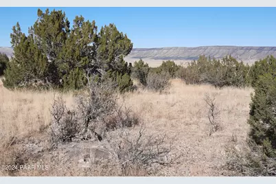 58573 N Calle Vaca, Seligman, AZ 86337 - Photo 1