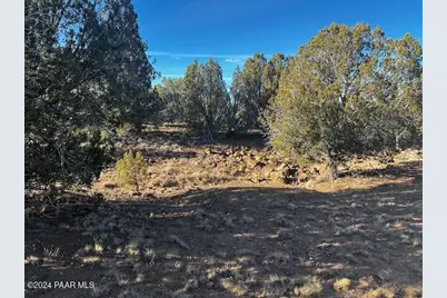 37916=b W Howling Coyote Road, Seligman, AZ 86337 - Photo 1