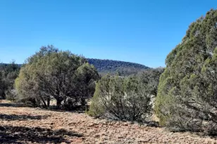 Lot 74 Forest Acres, Seligman, AZ 86337 - Photo 1