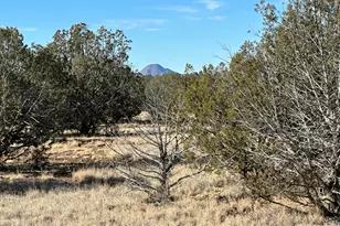 2249 Cienega Dr, Ash Fork, AZ 86320 - Photo 1