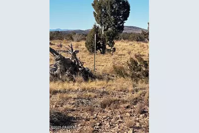 Lot 408 Hyde Park Road, Seligman, AZ 86337 - Photo 1