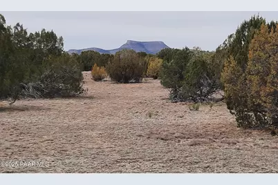 Lot 1320 Skedaddle Trail, Seligman, AZ 86337 - Photo 1