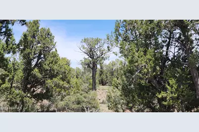 7980B Ancient Way, Seligman, AZ 86337 - Photo 1
