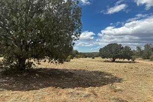 00 Antler Trail, Seligman, AZ 86337 - Photo 1