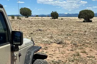 70 Off Of Volcano, Ash Fork, AZ 86320 - Photo 1