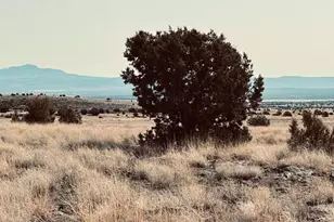 90B Volcano Trail, Ash Fork, AZ 86320 - Photo 1