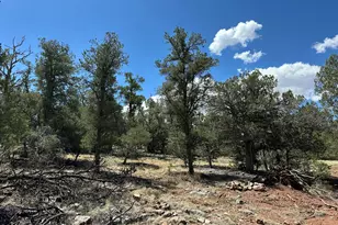 1035C W Whiskey River Rd, Seligman, AZ 86337 - Photo 1