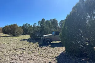 1364 Last Chance Rd, Seligman, AZ 86337 - Photo 1