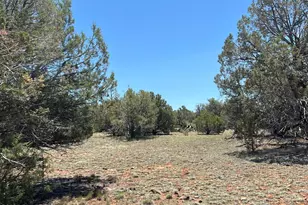 61 Norma Sw4 Rd, Ash Fork, AZ 86320 - Photo 1