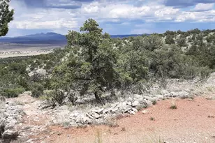 701 W Everwood Trail, Seligman, AZ 86337 - Photo 1