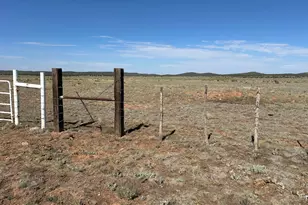 00 W Flowers Rd, Seligman, AZ 86337 - Photo 1