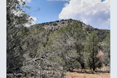 342 Dragons Nest Rd, Seligman, AZ 86337 - Photo 1