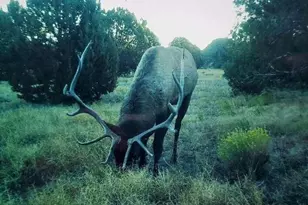 9860 Cortez Ranch Rd, Williams, AZ 86320 - Photo 1