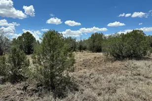 3532 W Hillcrest Dr, Williams, AZ 86046 - Photo 1