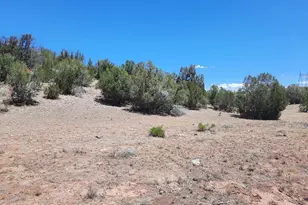 51943 N Agua Fria Rd, Seligman, AZ 86337 - Photo 1