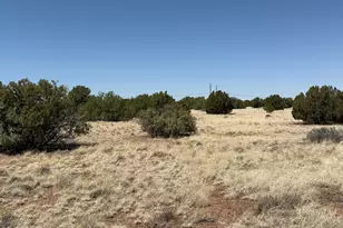 8481 Alpine Pl, Show Low, AZ 85901 - Photo 1