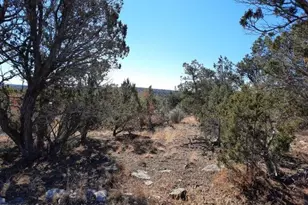 30549 W Montecito Ln, Seligman, AZ 86337 - Photo 1