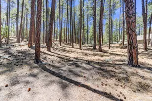 1158 E Stagecoach Rd, Prescott, AZ 86303 - Photo 1