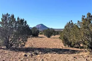 9800 W Boiling Pot Rd, Ash Fork, AZ 86320 - Photo 1