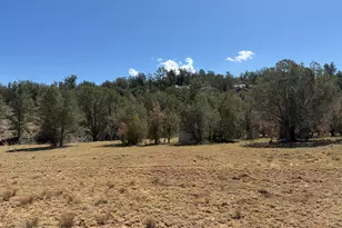 Lot 99 Shadow Rock Ranch, Seligman, AZ 86337 - Photo 1