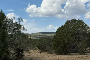 Lot 1461 Hog Heaven, Seligman, AZ 86337 - Photo 1