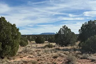 Lot 4 Ranch Of The White Mountains, Concho, AZ 85924 - Photo 1