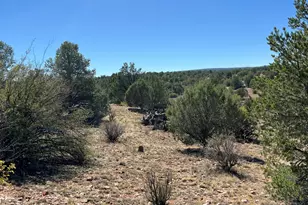 9A Off Ranch Rd, Ash Fork, AZ 86320 - Photo 1