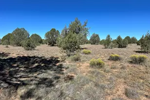 0 W Isabella Ln, Ash Fork, AZ 86320 - Photo 1