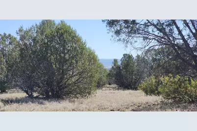 Lot 30 Off Rattlesnake, Ash Fork, AZ 86320 - Photo 1