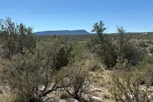 33367 W Hora Circle, Seligman, AZ 86337 - Photo 1