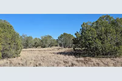 3715 W Shawn Way, Williams, AZ 86046 - Photo 1