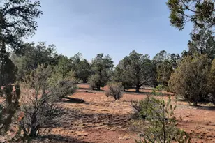 55193 N Campana Circle, Seligman, AZ 86337 - Photo 1